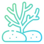 산호 - 무료 동물개 아이콘 아티스트가 디자인한 산호 종의 무료 아이콘