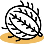 Tumbleweed - Free nature icons Tumbleweed free icons designed by Eucalyp