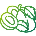 Plum - Free food and restaurant icons Plum free icons designed by mikan933