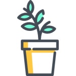 Plant - Free nature icons Plant free icons designed by Freepik