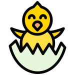 Application error: a client-side exception has occurred Chick Generic color lineal-color icon