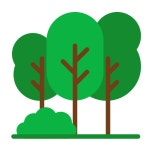 나무 - 무료 자연개 아이콘 아티스트가 디자인한 나무 종의 무료 아이콘