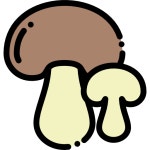 Free Icon | Mushroom
