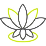 로터스 아이콘 Generic color outline