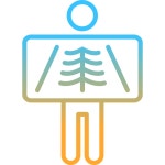 엑스레이 - 무료 의료 및 의료개 아이콘 아티스트가 디자인한 엑스레이 종의 무료 아이콘