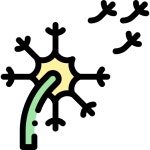화분 - 무료 자연개 아이콘 아티스트가 디자인한 화분 종의 무료 아이콘