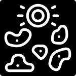 둥근 돌 - 무료 여행개 아이콘 아티스트가 디자인한 둥근 돌 종의 무료 아이콘