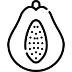 Papaya Special Lineal icon