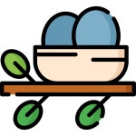 Nest Special Lineal color icon