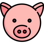 돼지 아이콘 Special Lineal color