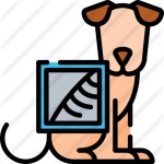 X ray Special Lineal color icon