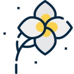 Flower - Free nature icons Flower free icons designed by mangsaabguru