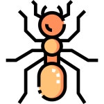 개미 - 무료 동물개 아이콘 아티스트가 디자인한 개미 종의 무료 아이콘