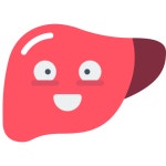 Liver - Free smileys icons Liver free icons designed by Smashicons