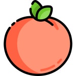 Apricot - Free food icons Apricot free icons designed by Freepik