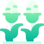 Corn Basic Gradient Gradient icon