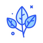 만 아이콘 Darius Dan Blue
