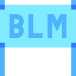 블름 아이콘 Basic Sheer Flat