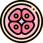 Cell division - Free education icons Cell Division free vector icons designed by Freepik