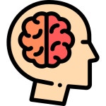 Free Icon | Brain