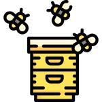 Bee box - Free animals icons Bee Box free vector icons designed by Freepik