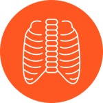 X ray - Free healthcare and medical icons X Ray free icons designed by PIXARTIST