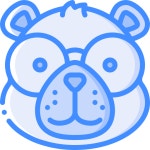 Bear - Free animals icons Bear free icons designed by Smashicons