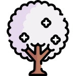 아몬드 나무 - 무료 자연개 아이콘 아티스트가 디자인한 아몬드 나무 종의 무료 아이콘
