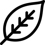 만 아이콘 Basic Rounded Lineal
