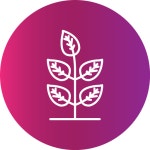 잎 - 무료 자연개 아이콘 아티스트가 디자인한 잎 종의 무료 아이콘