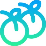 Free Icon | Apricot