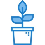 Free Icon | Plant
