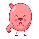 Stomach Generic Sticker Color Lineal Color sticker | Freepik