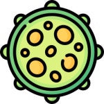 Nucleus Special Lineal color icon | Freepik