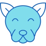 Chick Generic color lineal-color icon | Freepik
