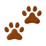 Download Free Paws Generic color fill icon Icons in PNG & SVG