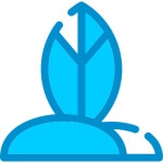 Flippers Generic color lineal-color icon | Freepik