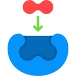 Enzyme Generic color lineal-color icon | Freepik