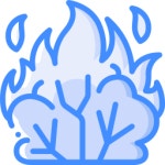 팬 아이콘 Generic gradient fill