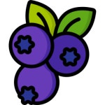 Aubergine Basic Miscellany Lineal Color icon | Freepik