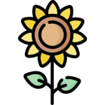 파종 아이콘 Special Lineal color