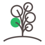 나무 아이콘 Generic Fill & Lineal | Freepik