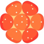 Apple Special Flat icon | Freepik