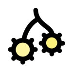 Dates Generic Outline Color icon | Freepik