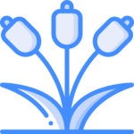 나무 아이콘 Basic Miscellany Blue | Freepik