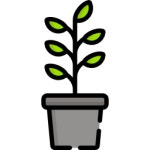 Ladybug Special Lineal color icon | Freepik