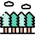 세쿼이아 아이콘 Special Flat