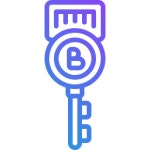 열쇠 아이콘 Generic Detailed Outline