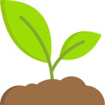 새싹 아이콘 Special Flat | Freepik