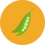 완두콩 아이콘 Generic Flat | Freepik